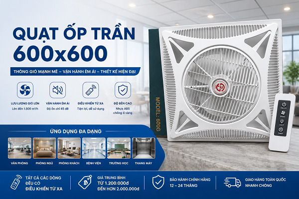 quat op tran 600x600 quat op tran 600x600